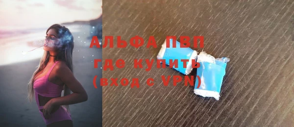 стаф Козловка