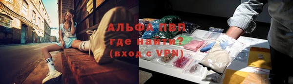 индика Красноперекопск