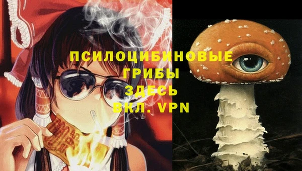 индика Красноперекопск