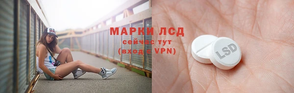 стаф Козловка