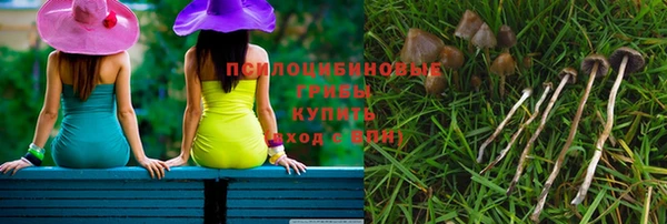 стаф Козловка