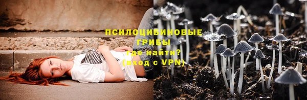 стаф Козловка