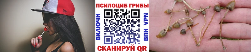 цена   Саратов  Галлюциногенные грибы MAGIC MUSHROOMS 