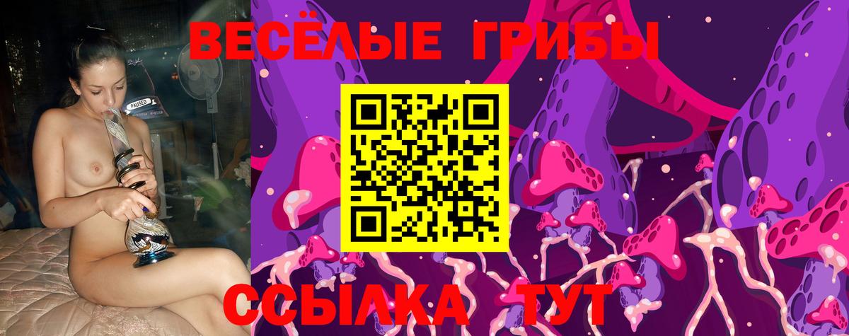Псилоцибиновые грибы Magic Shrooms Саратов