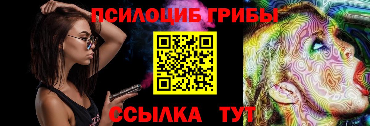 Саратов  Псилоцибиновые грибы мицелий  Вход с VPN 